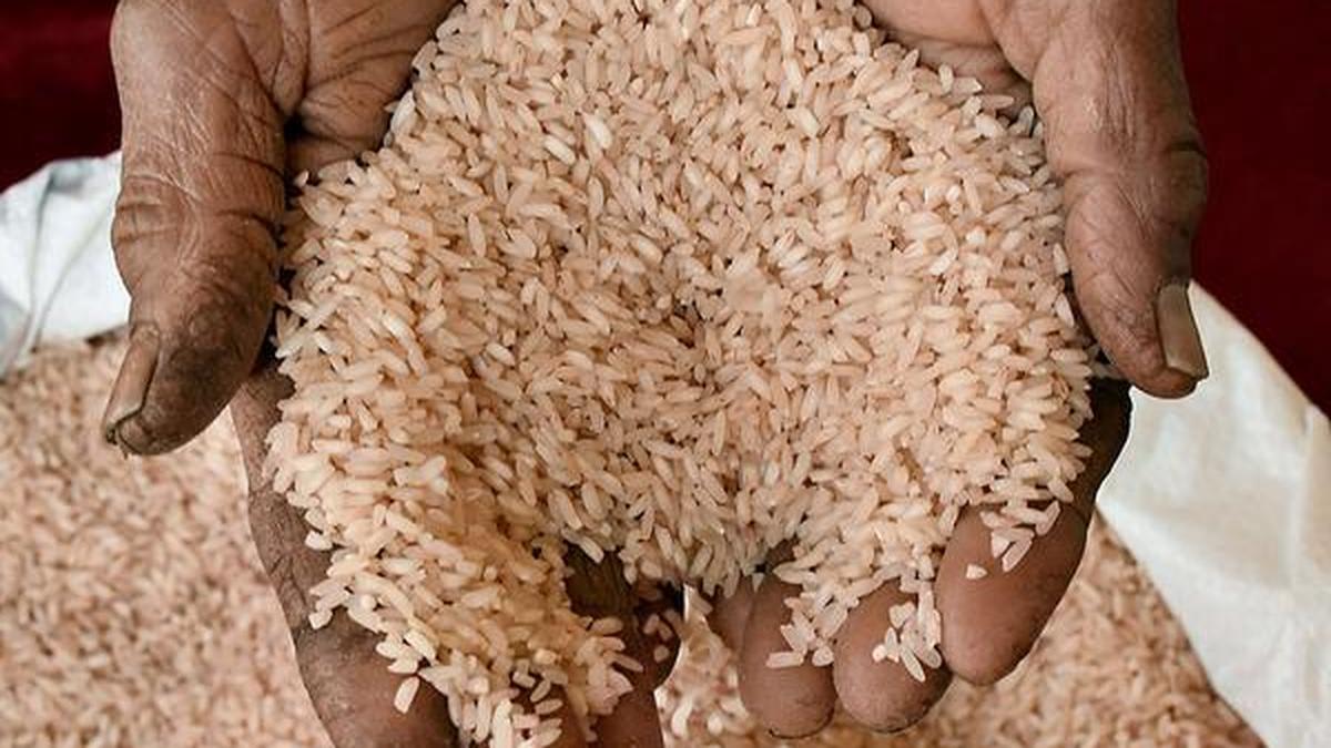 Huge quantity of PDS rice seized in crackdown
