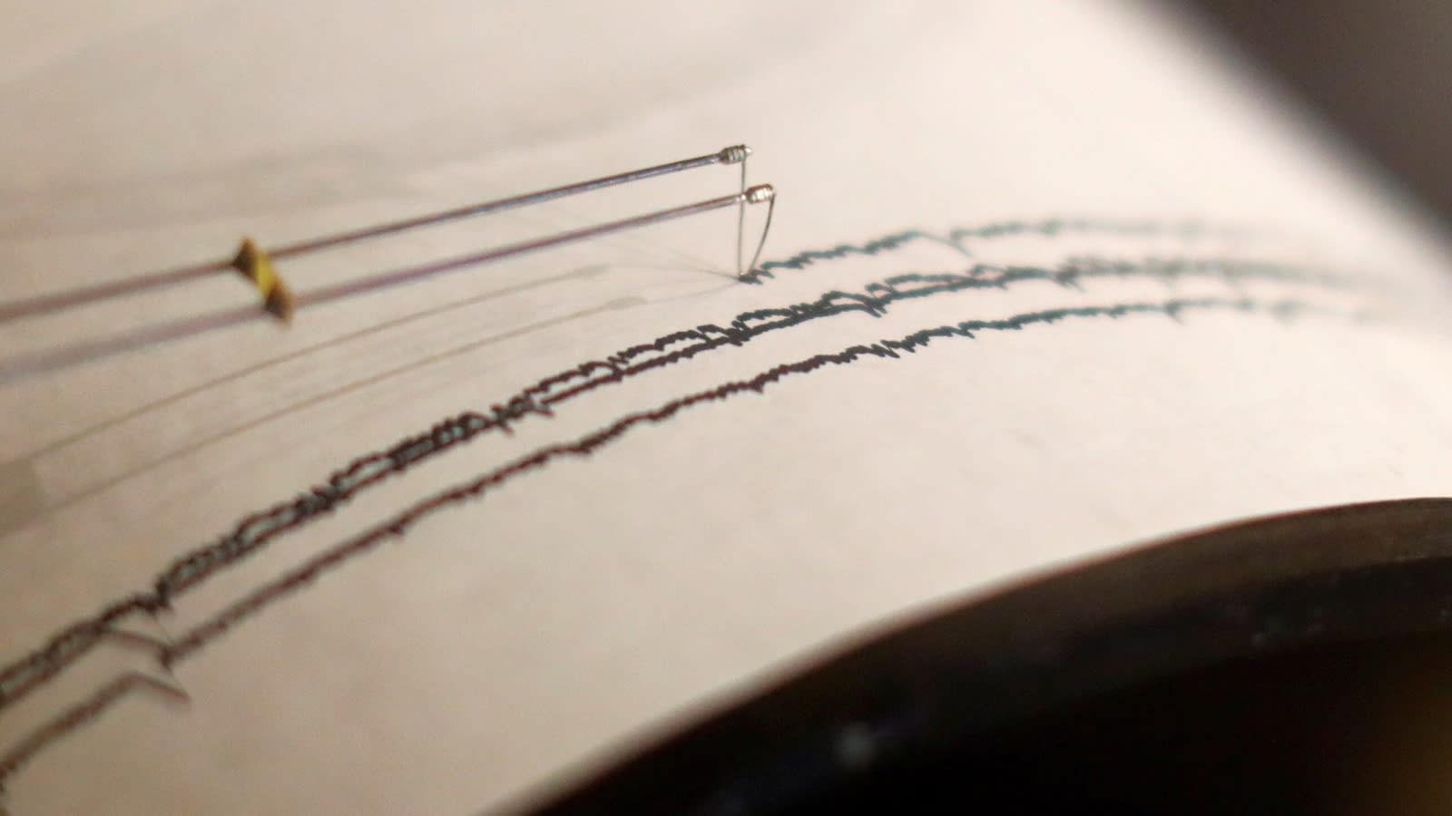 Magnitude 4.2 earthquake jolts Uttarakhand, epicenter in Uttarkashi