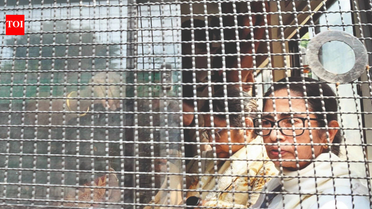 SIR stir: 'Kashmir model' in Delhi, situation akin to Emergency, says opposition