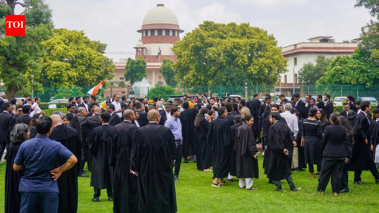 'Restore internet, metro, free movement': SC on Delhi protest crackdown - top quotes