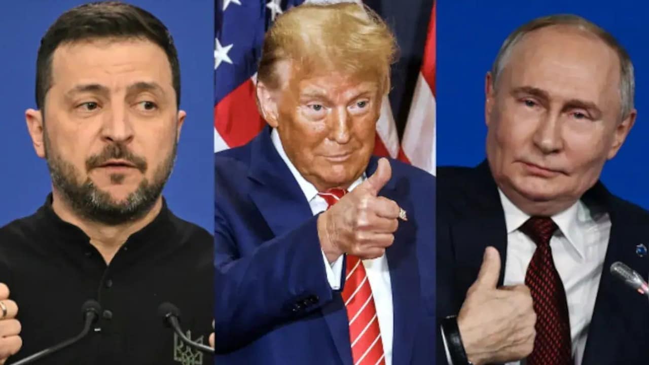 Trump Announces Russia-Ukraine Energy Ceasefire, Zelensky Says "News For Me"