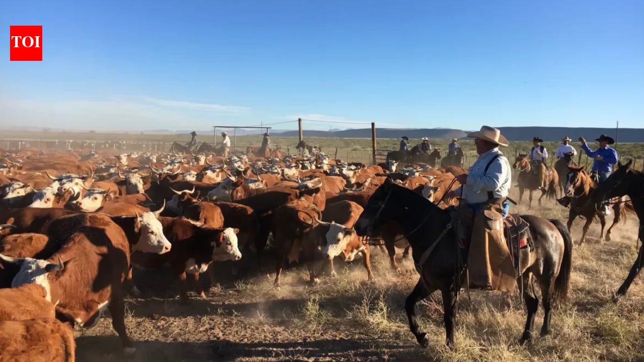Texas family ends 8-year fight over 65,000-acre ranch worth at least $60m
