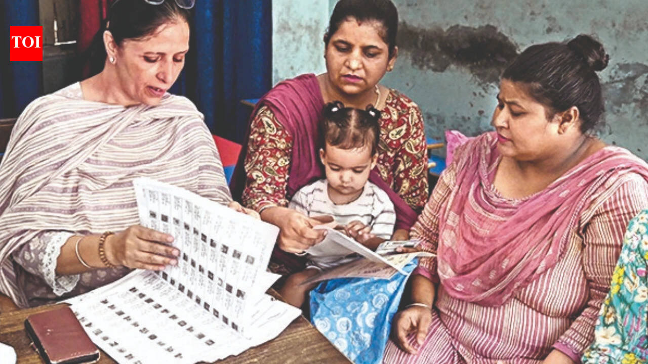 60% of 33 lakh who received SIR notices in Delhi are now verified