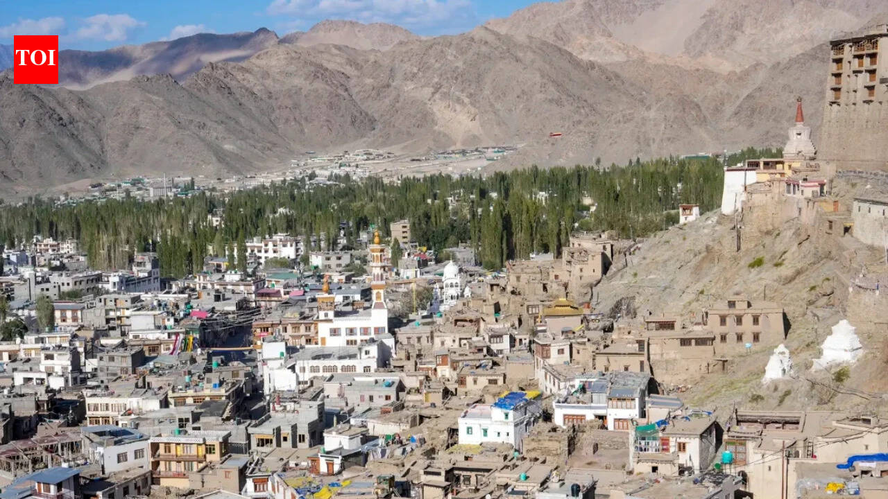 ‘No amount of denial can change the fact’: MEA's firm message to China on Ladakh
