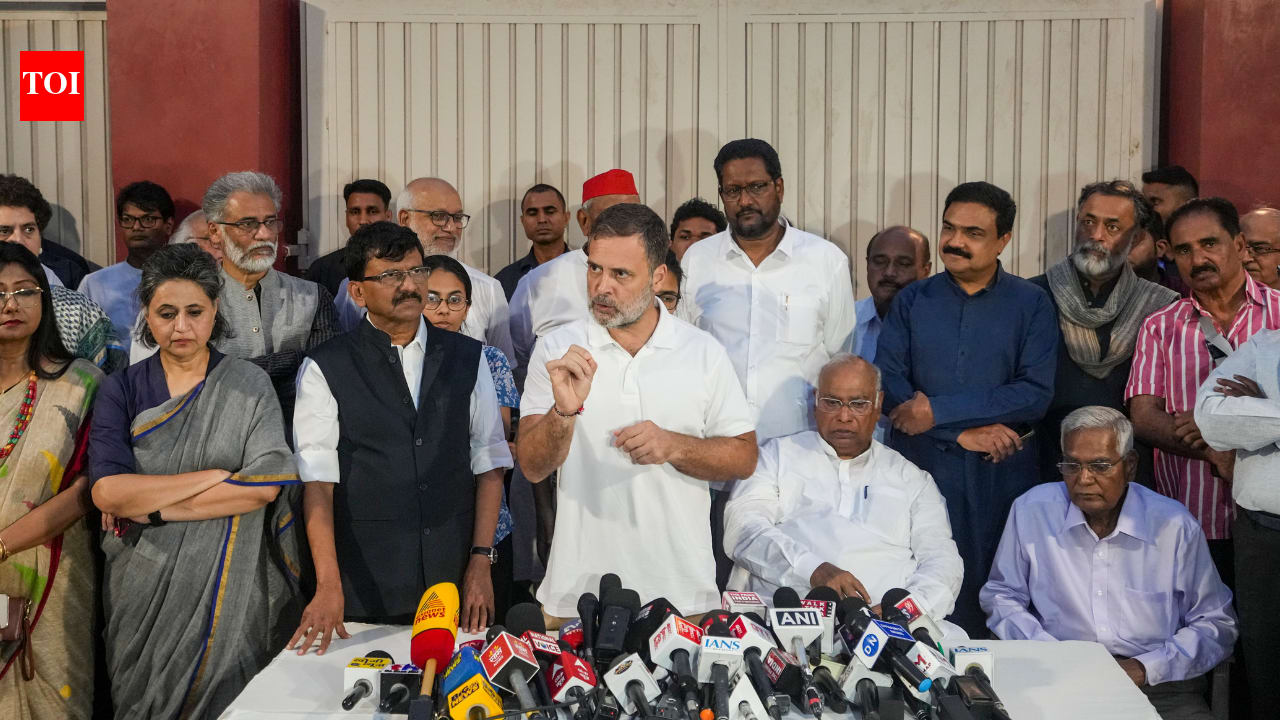 'Lady hiding in Dehradun': Who was Rahul referring to at INDIA bloc presser?