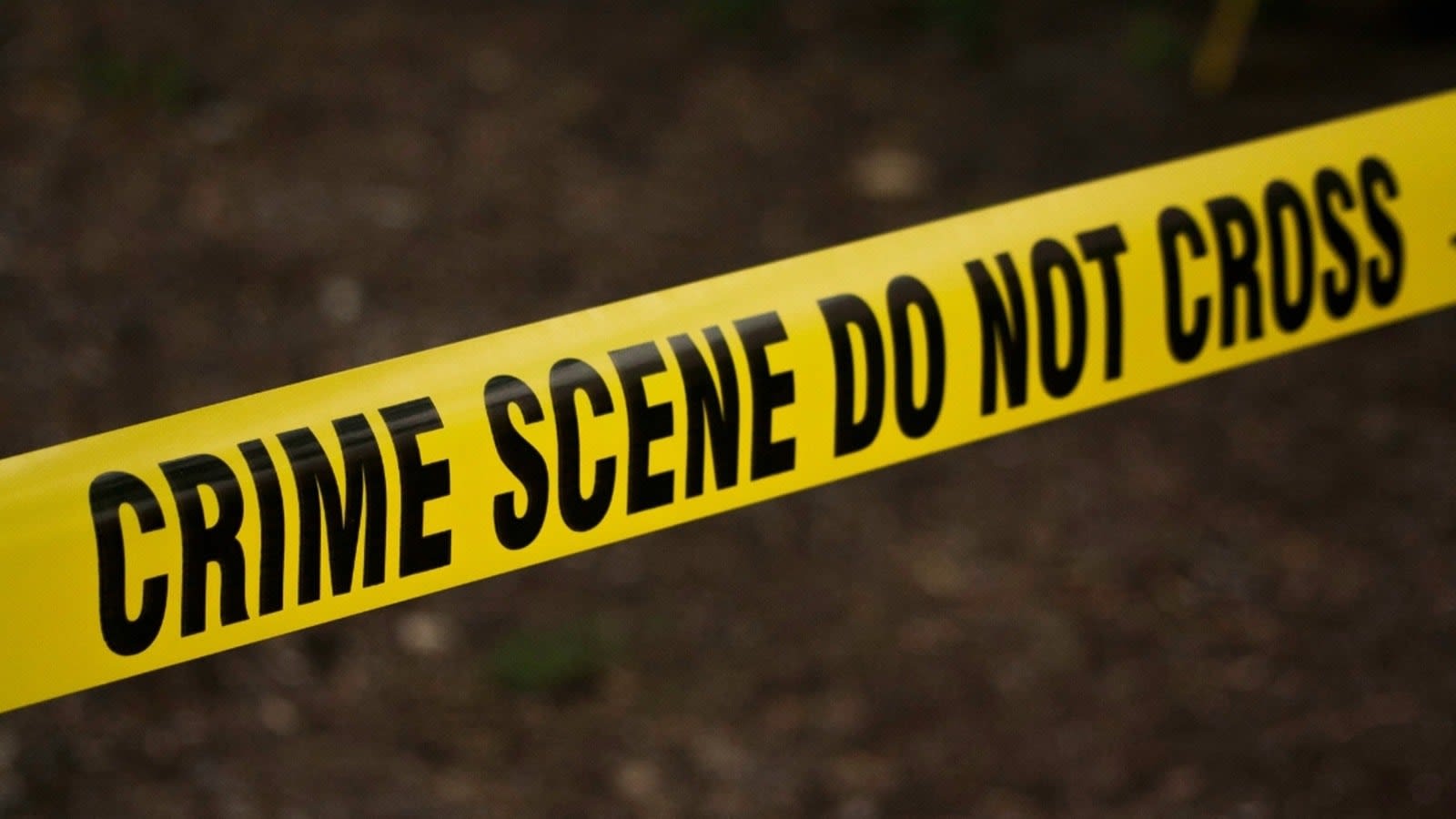 Hindu temple mass shooting plot foiled after rifle jams in US