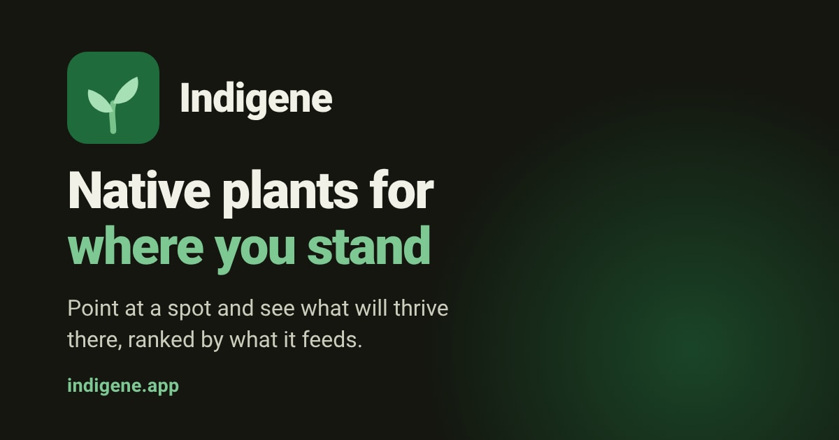 Show HN: Indigene – Native plants for where you stand