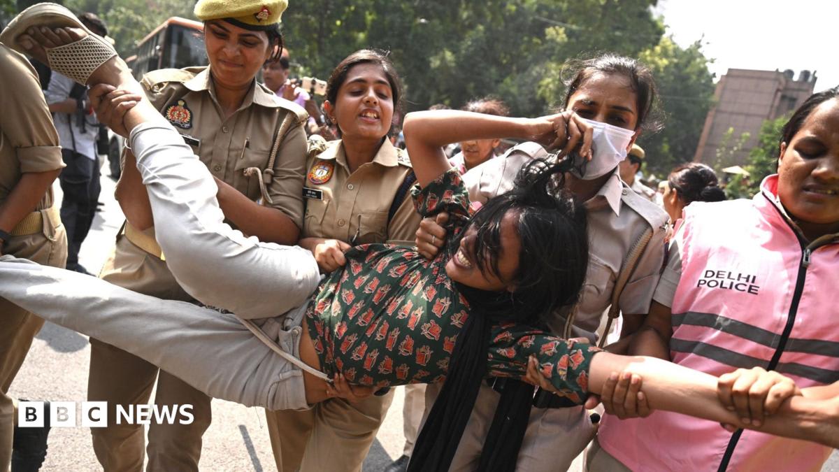 India's 'cockroach' protesters set to return despite police crackdown