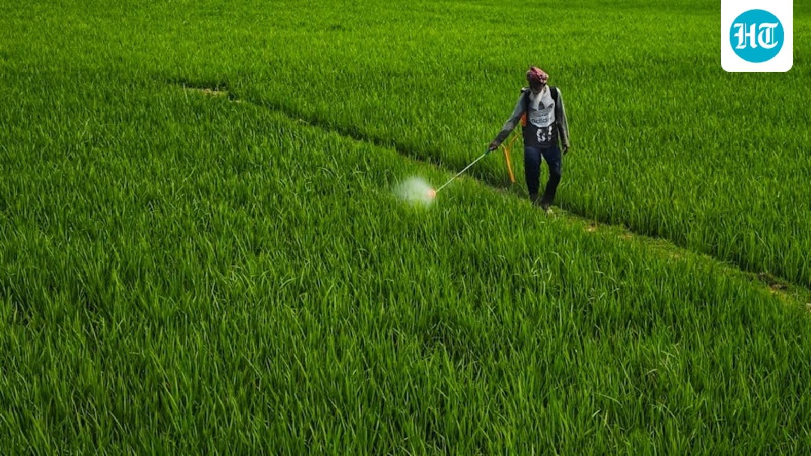 Herbicide paraquat dichloride, used for quicker ripening of green gram, banned in India; MP issues orders