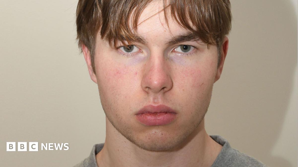 Norwegian teen 'hitman' detained for UK murder plot