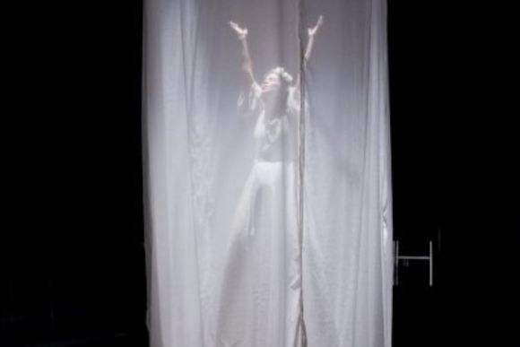 Photo of The Seagull