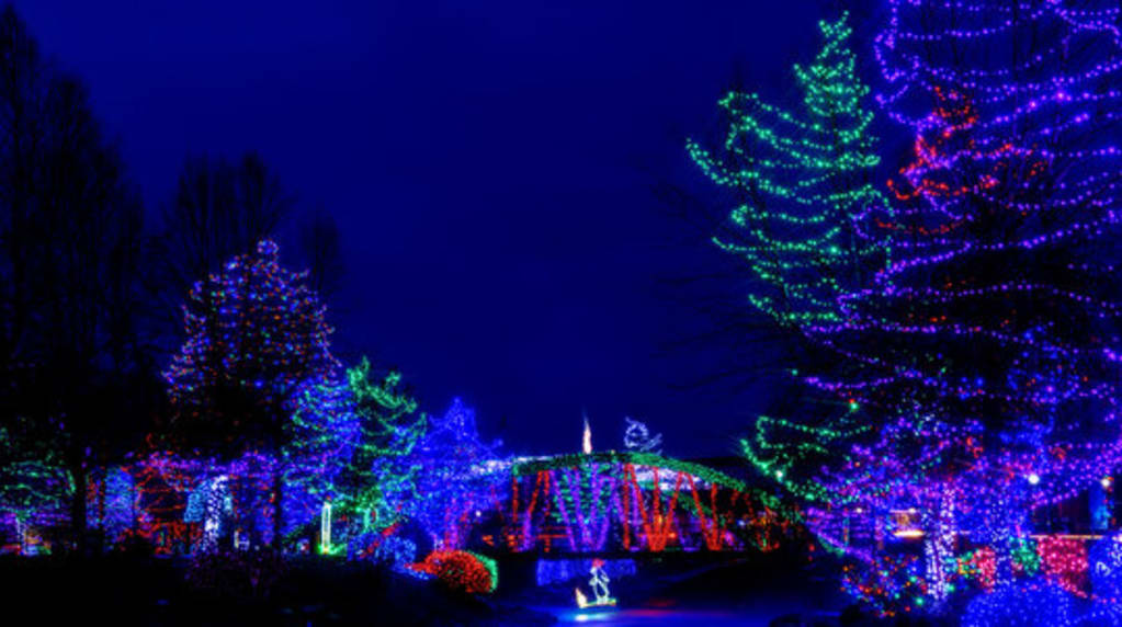 Holiday display by an electrician 