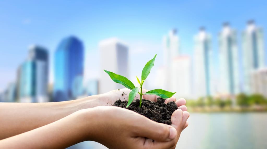 Hand with sustainable leaves projects for business