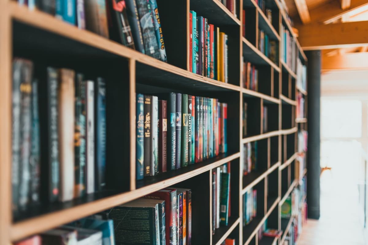 Rows of books on library shelves