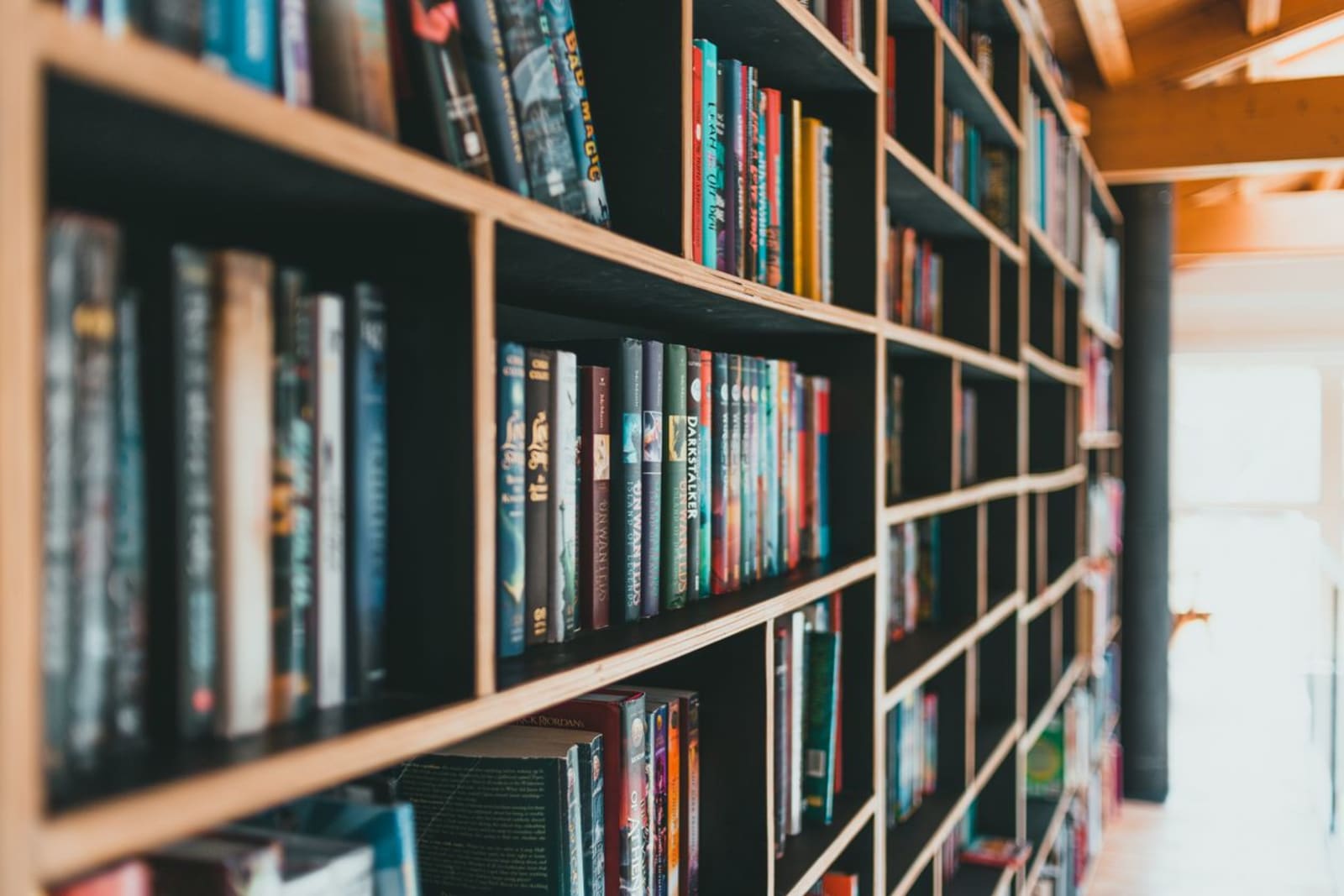 Rows of books on library shelves