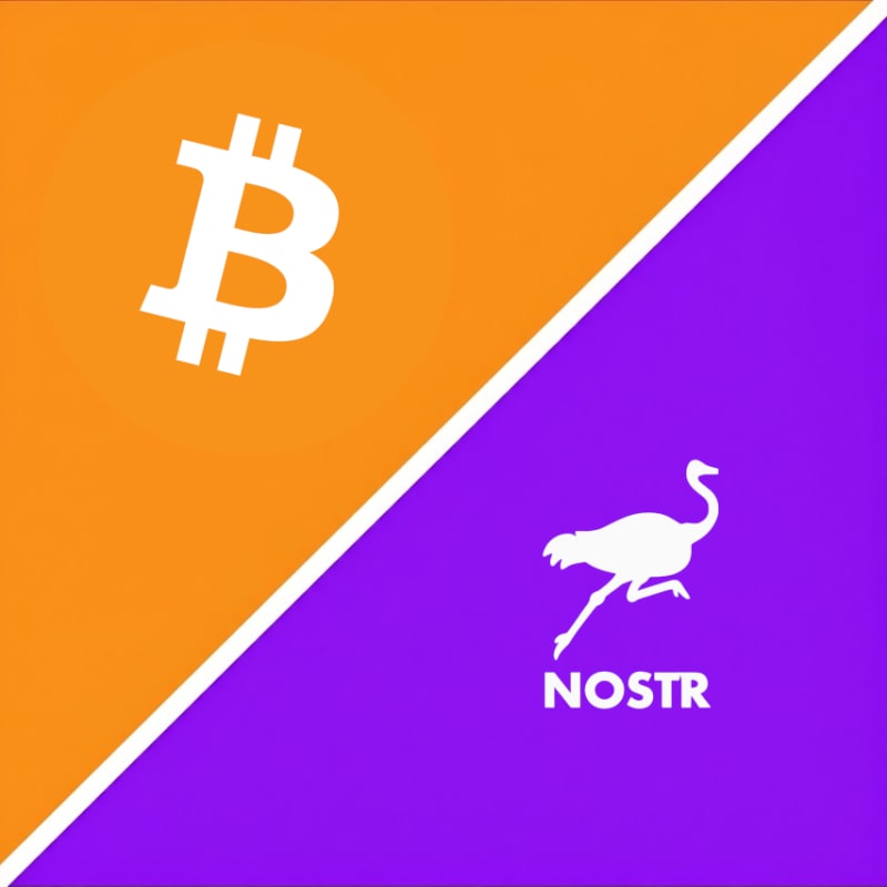 Nostr relay and infrastructure diagram