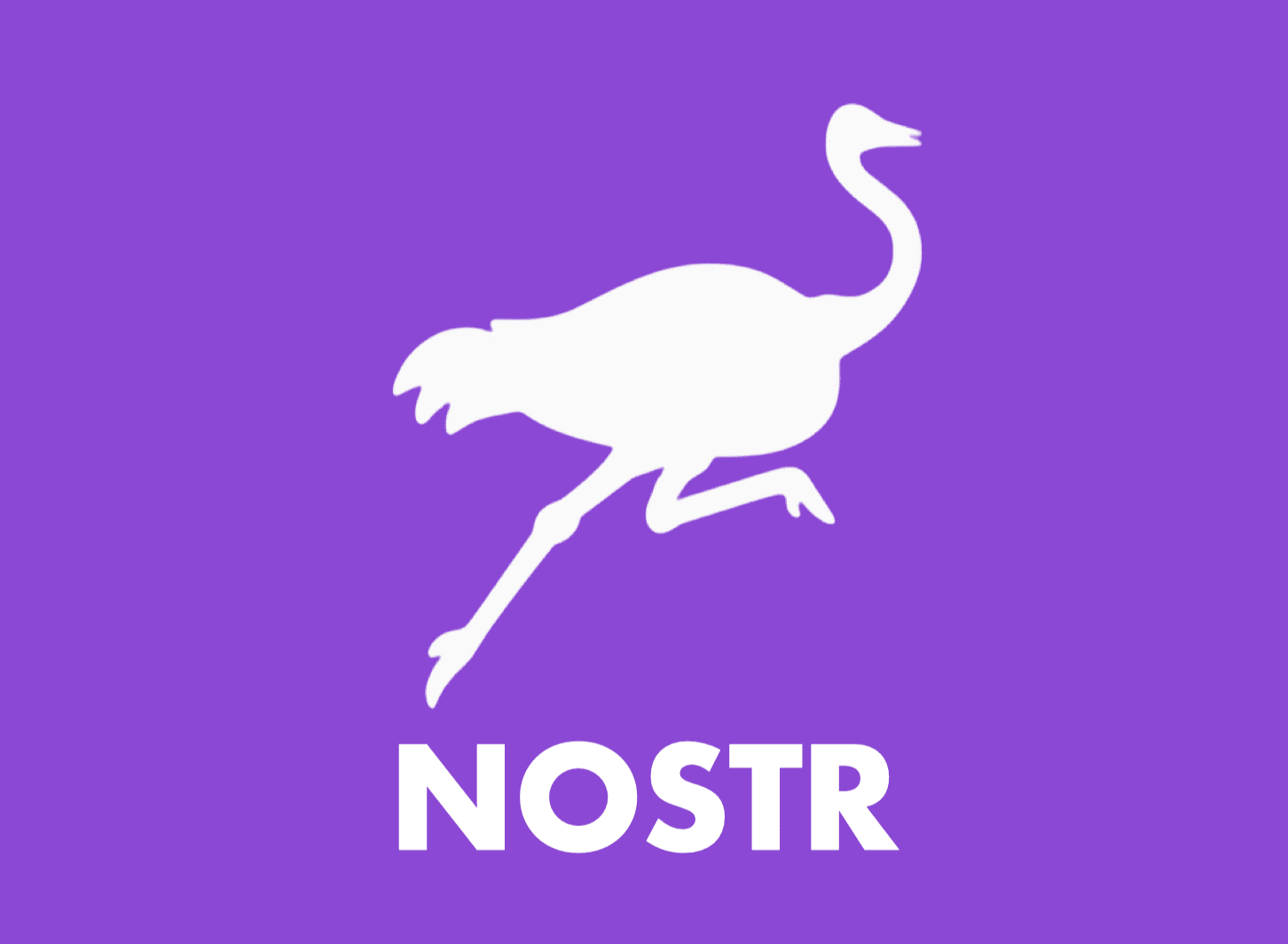 Nostr Product Development