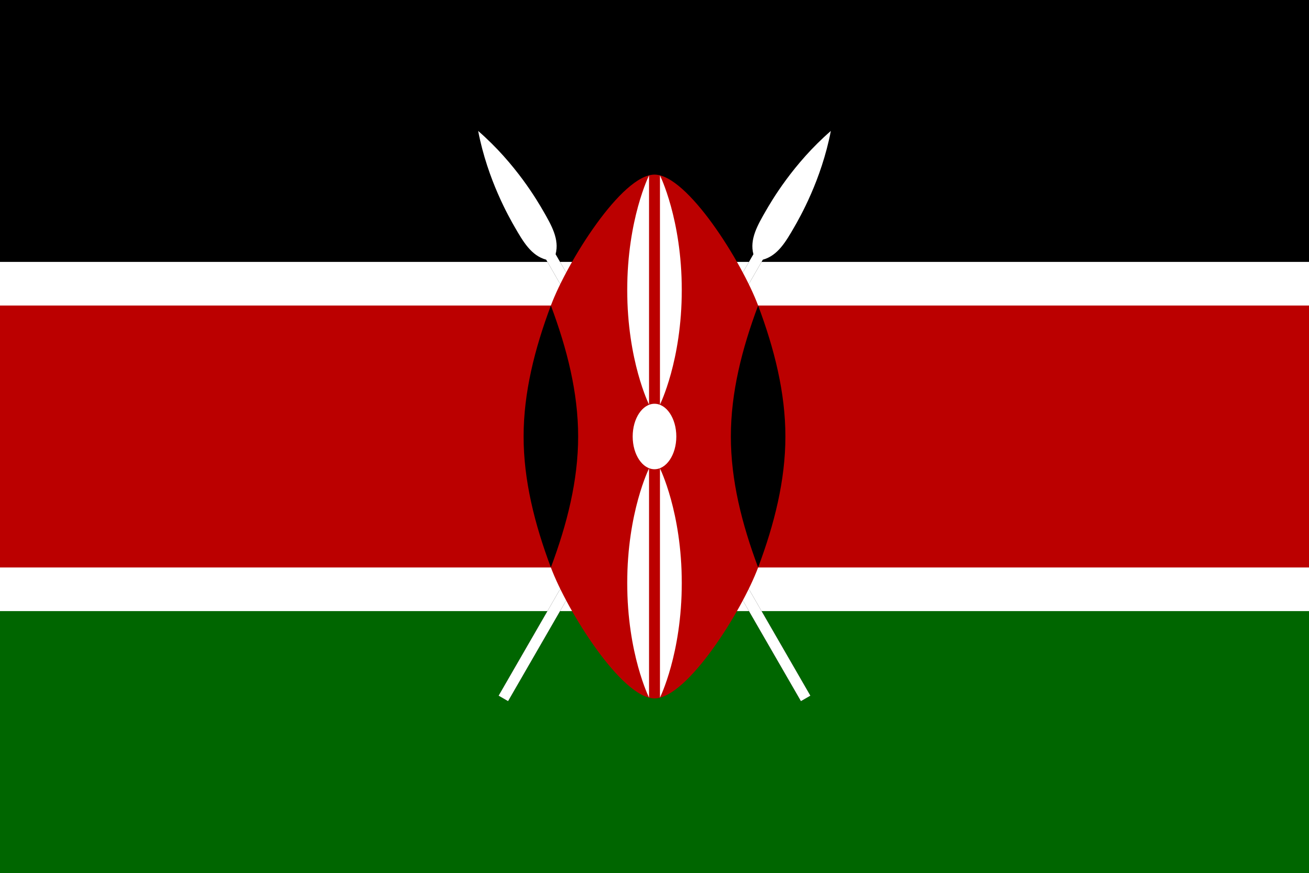 The Kenyan economics expert James Shikwati