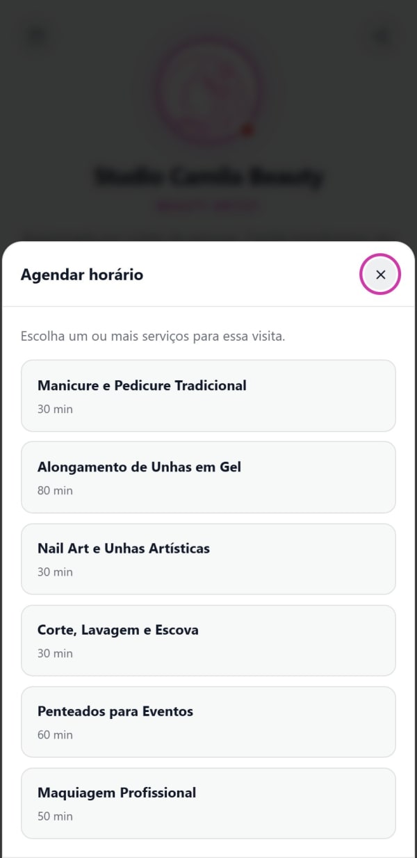 Tela de agendamento do BioLink: escolha de um ou mais serviços com duração