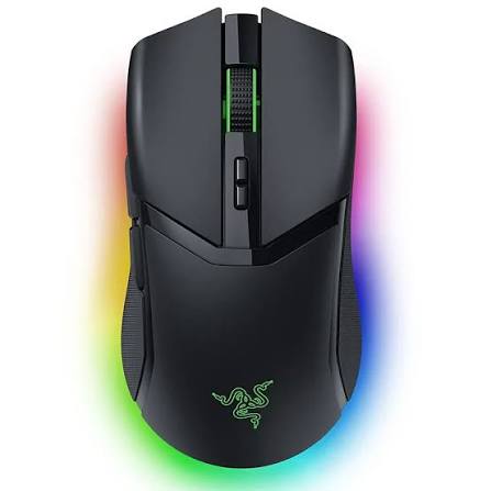 Souris