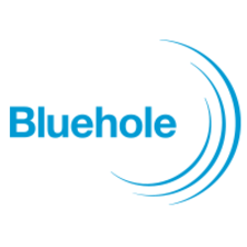 Bluehole Studio - Tech in Asia