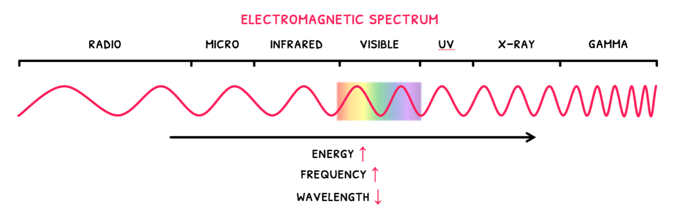 Topic 4 subTopic 2 notes image 4