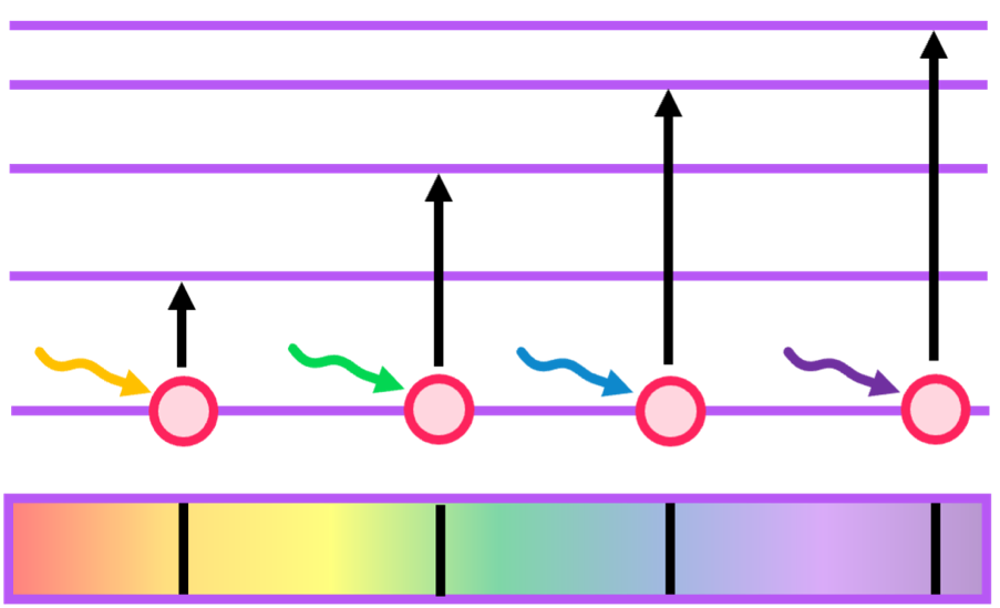 Topic 2 subTopic 2 notes image 2