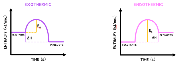 Topic 6 subTopic 1 notes image 3