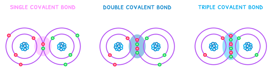 Topic 4 subTopic 2 notes image 1