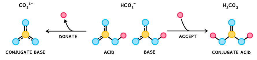Topic 8 subTopic 1 notes image 3