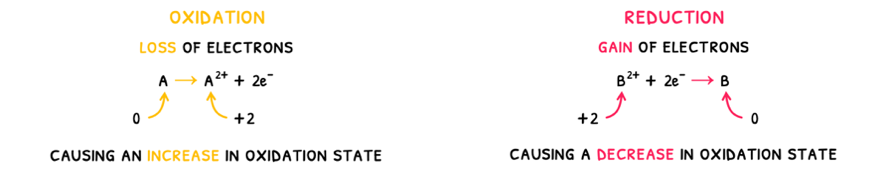 Topic 9 subTopic 1 notes image 1