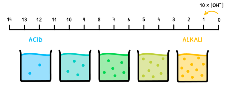 Topic 18 subTopic 2 notes image 1