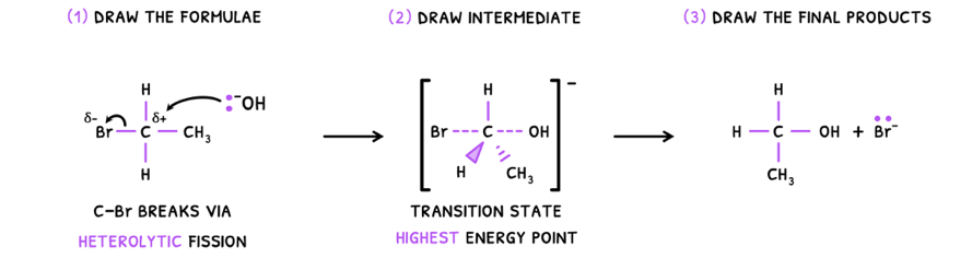 Topic 20 subTopic 1 notes image 6