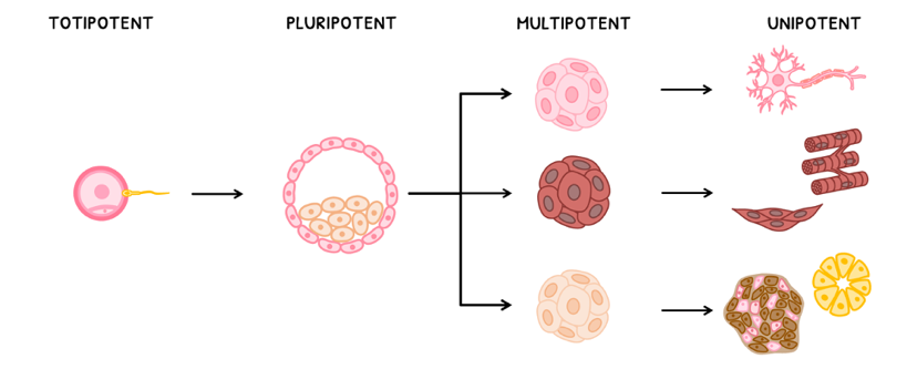 Topic 1 subTopic 1 notes image 3