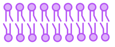 Topic 1 subTopic 3 notes image 2