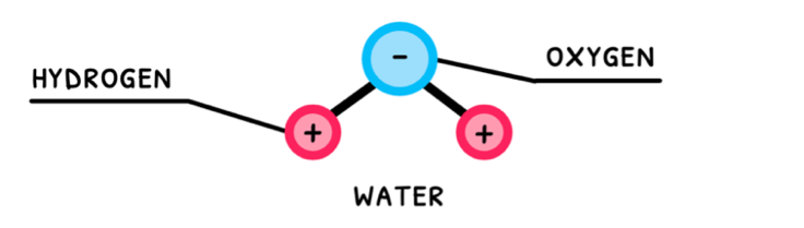 Topic 2 subTopic 2 notes image 1