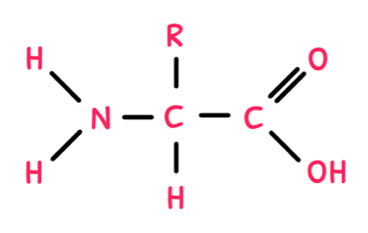 Topic 2 subTopic 4 notes image 1