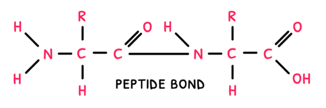 Topic 2 subTopic 4 notes image 2