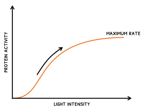 Topic 2 subTopic 9 notes image 3
