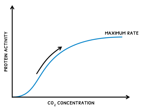 Topic 2 subTopic 9 notes image 4