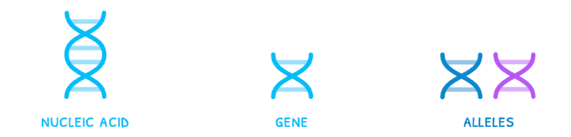 Topic 3 subTopic 1 notes image 1