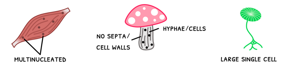 Topic 1 subTopic 1 notes image 1