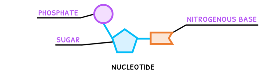Topic 2 subTopic 6 notes image 1