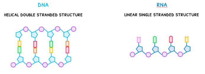 Topic 2 subTopic 6 notes image 4