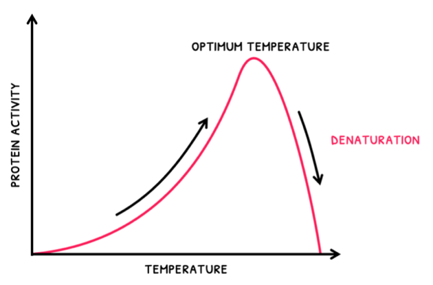Topic 2 subTopic 9 notes image 2