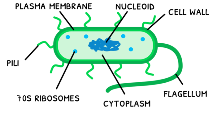 Topic 1 subTopic 2 notes image 1