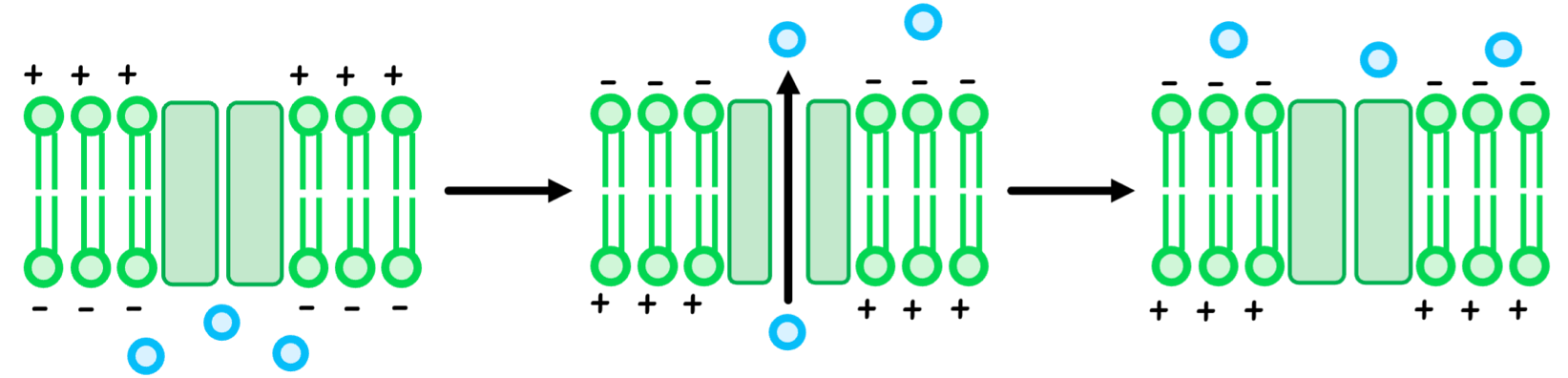 Topic 1 subTopic 4 notes image 3