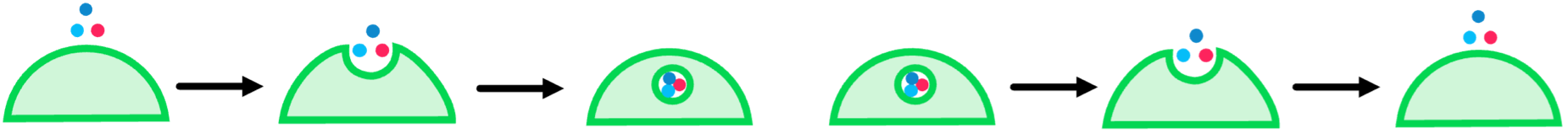 Topic 1 subTopic 4 notes image 5