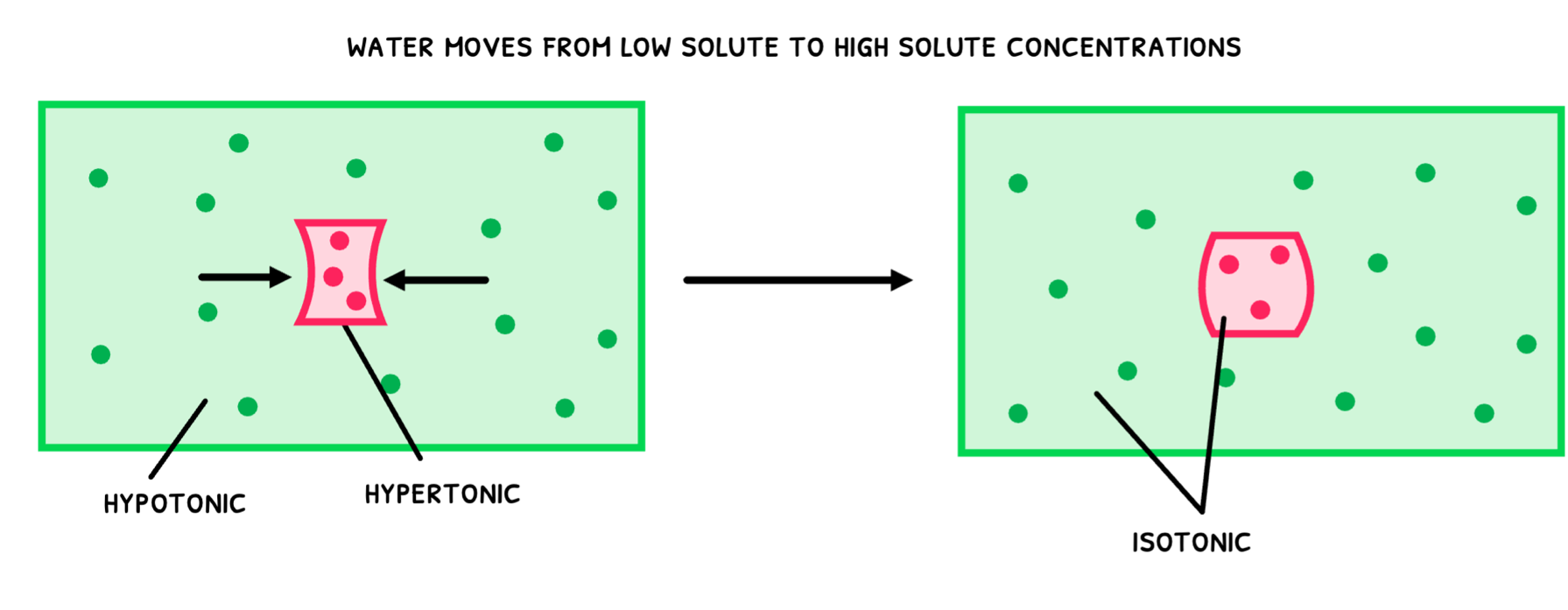 Topic 1 subTopic 4 notes image 6