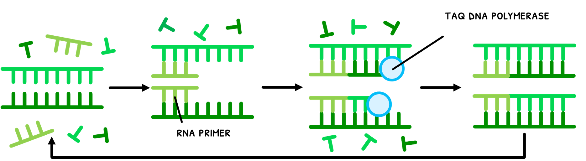 Topic 2 subTopic 7 notes image 7